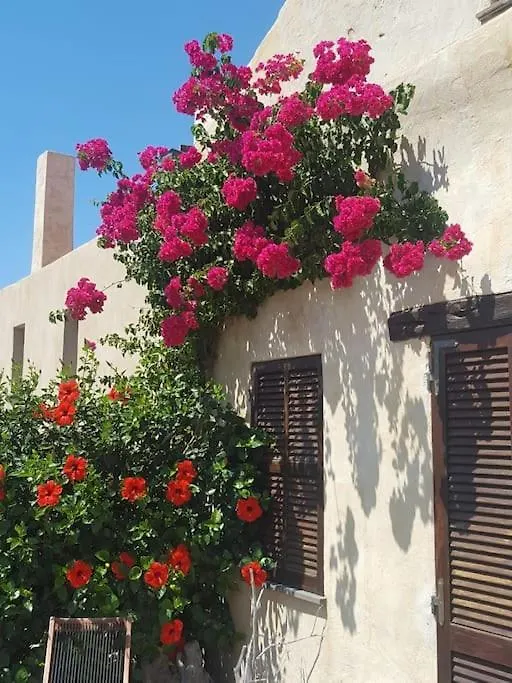 Casa Azzurra, Antiche Tonnare Di Porto Paglia Villa Gonnesa